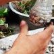 Le drainage du contenant