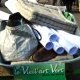 Le vieil art vert
